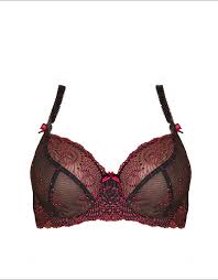 FFY Nicole see-thru lace