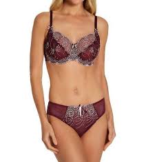 FFY Nicole see-thru lace